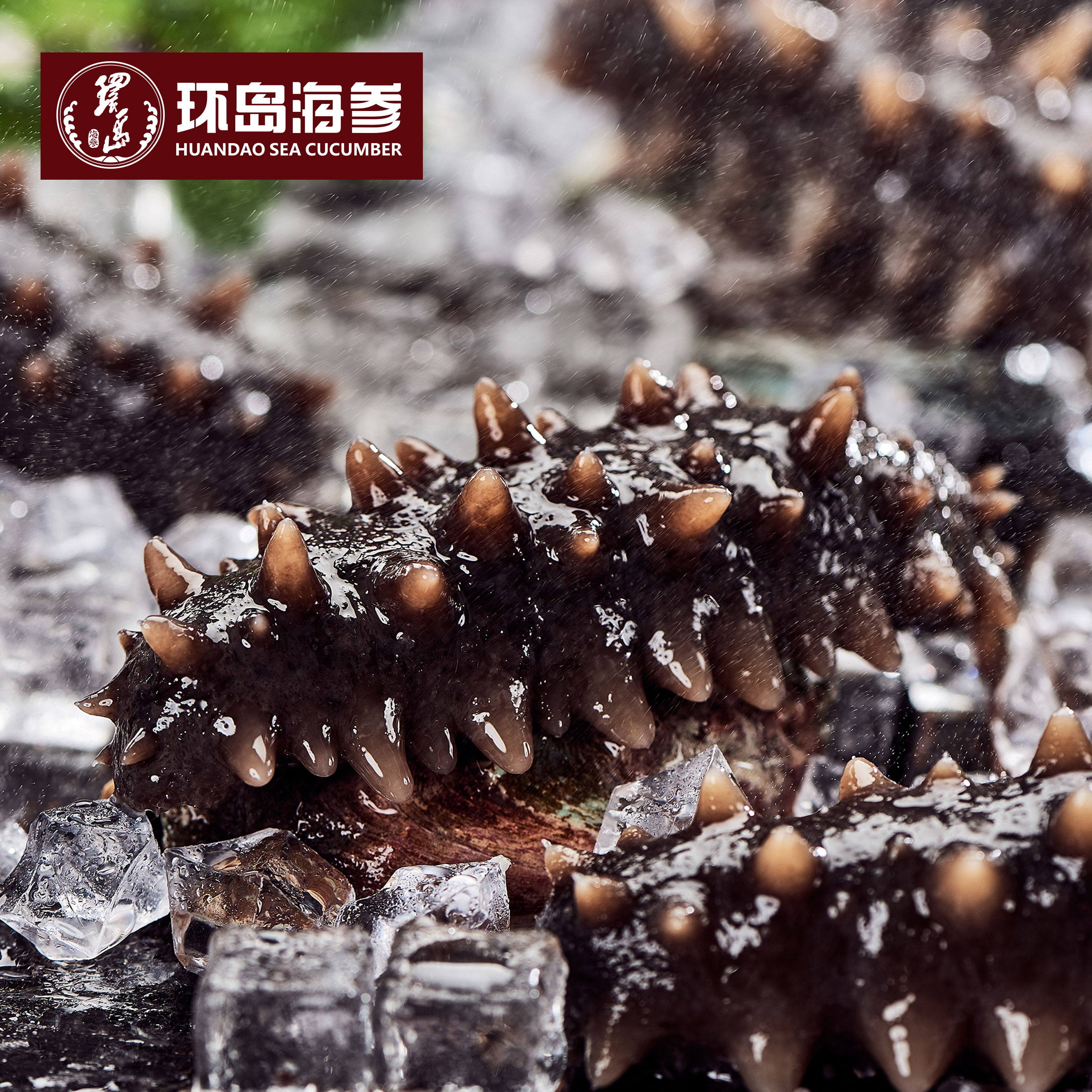 香港全年免费资料大全