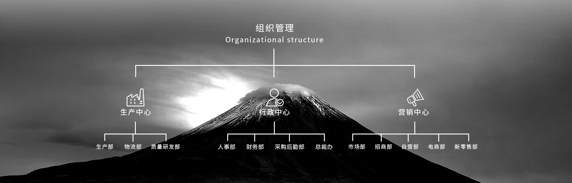 香港全年免费资料大全