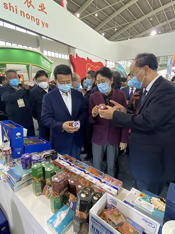 香港全年免费资料大全