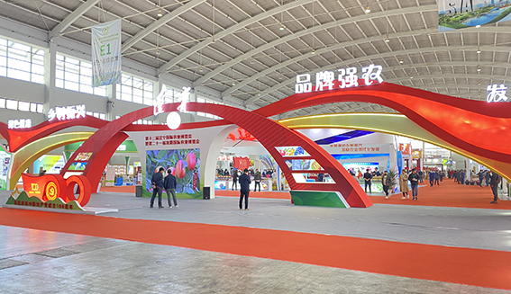 香港全年免费资料大全