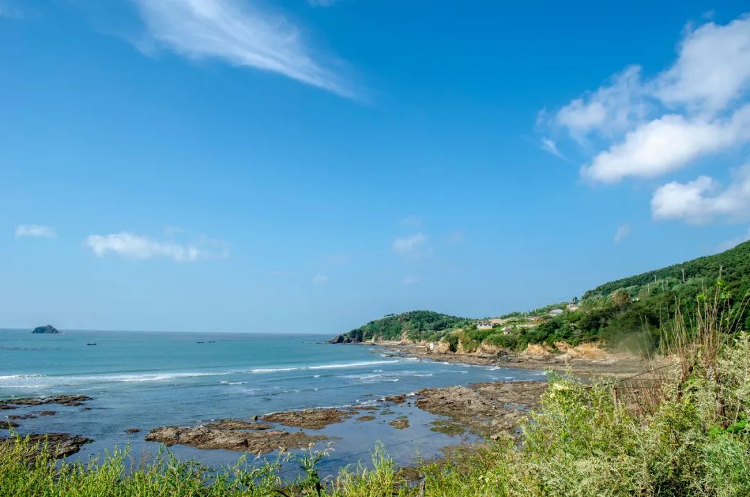 香港全年免费资料大全