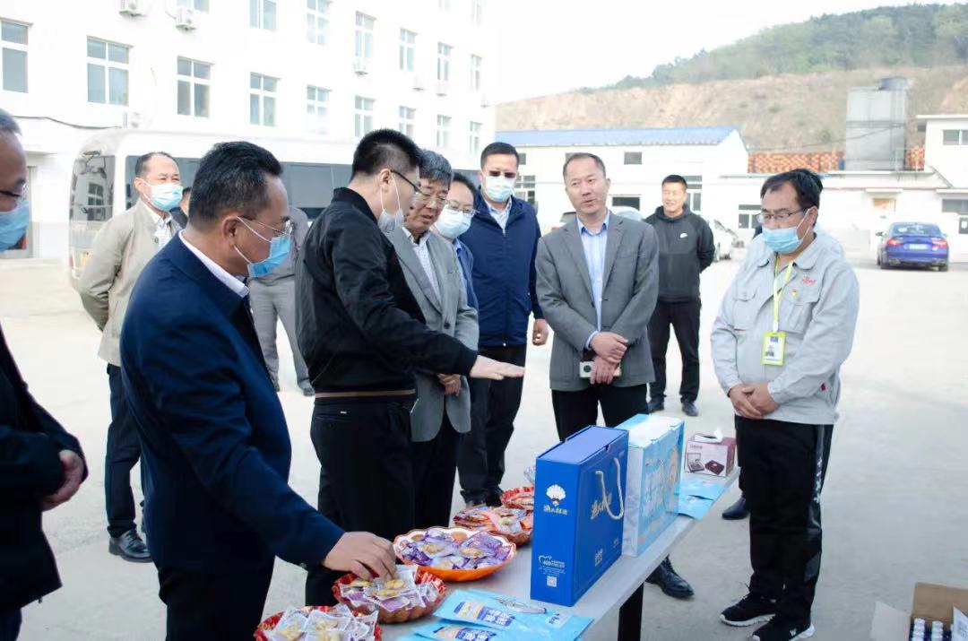 香港全年免费资料大全