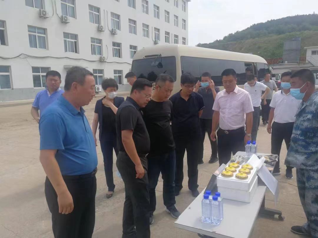 香港全年免费资料大全