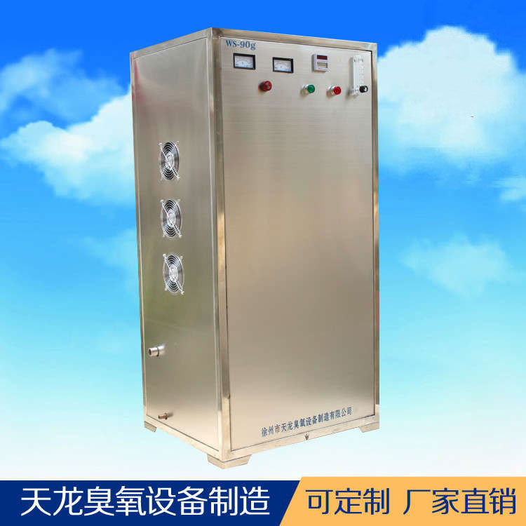 臭氧发生器 水处理臭氧消毒机WS-60g 厂家直销 品质保证